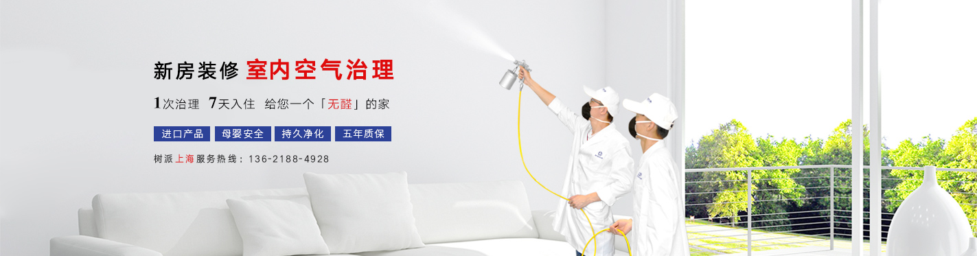 上海新利体育(luck18)汽车除甲醛